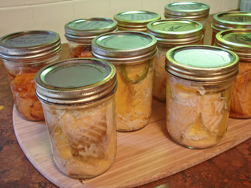 Homemade Tuna in Jar with Delicious Taste Tuna Skipjack Frozen