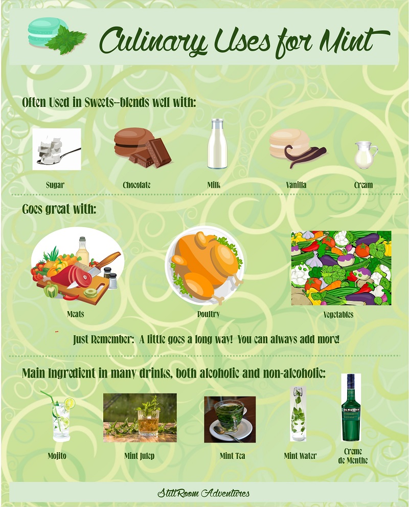 Culinary Uses for Mint