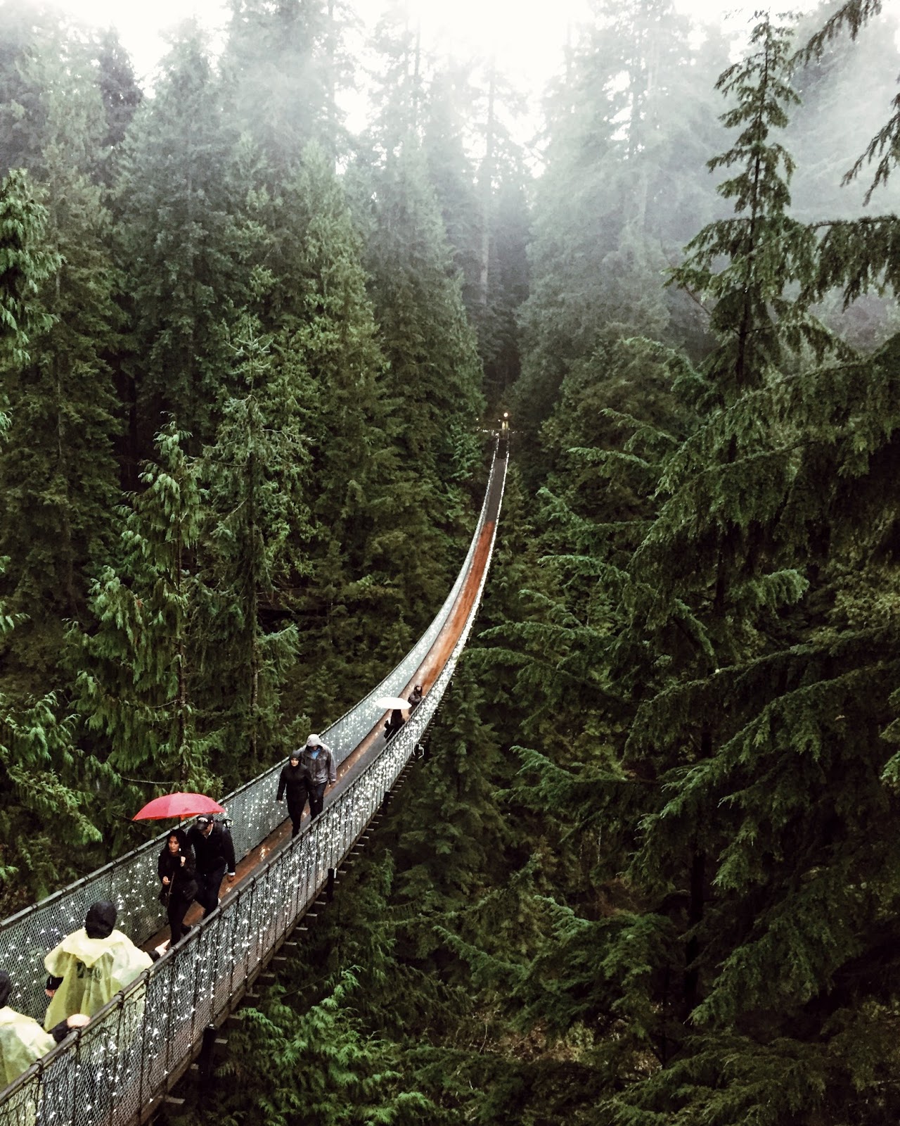 Мост Капилано в Capilano Suspension Bridge Park