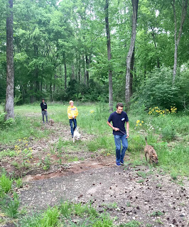 Catholic's Key Club Serves At Humane Shelter 1