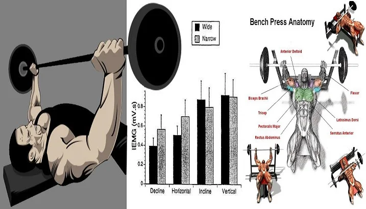 Boost Your Bench Press To Gain Chest Mass