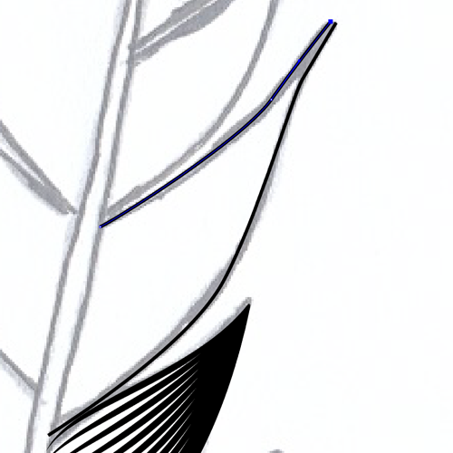 Как сделать гравюру в illustrator. Смотреть фото Как сделать гравюру в illustrator. Смотреть картинку Как сделать гравюру в illustrator. Картинка про Как сделать гравюру в illustrator. Фото Как сделать гравюру в illustrator Как сделать гравюру в illustrator. Смотреть фото Как сделать гравюру в illustrator. Смотреть картинку Как сделать гравюру в illustrator. Картинка про Как сделать гравюру в illustrator. Фото Как сделать гравюру в illustrator