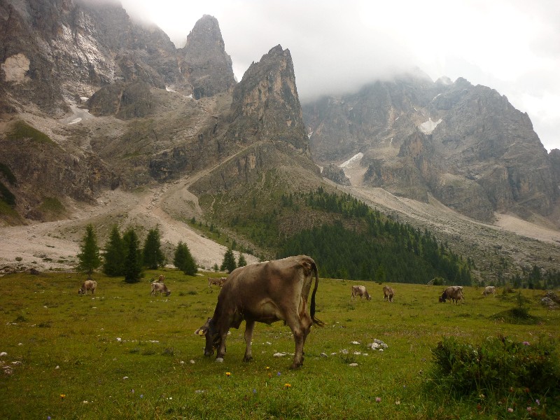 Escursione In Val Venegia Trentino Montagna Di Viaggi
