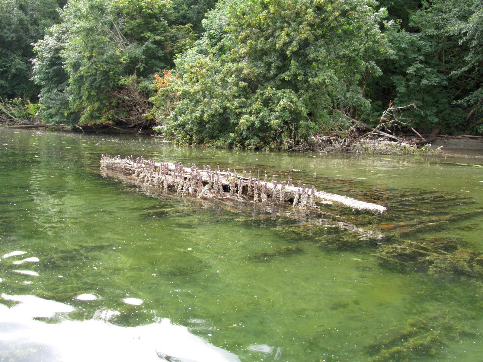 Gravel Beach McNeil Island