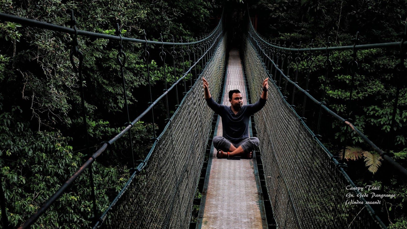 Liburan tahun baru di Kebun Raya Cibodas, Menikmati Canopy ...