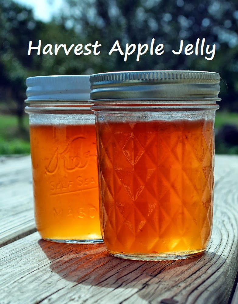 Trying to make Aplle Jelly and it will not set. Have tried liquid pectin  first then powdered pectin. such a sad waste of apple scrap juice. The  flavor is great but it