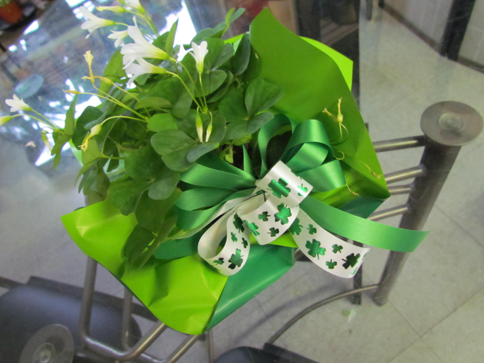 Florafino's ENews GREEN FLOWERS!!!