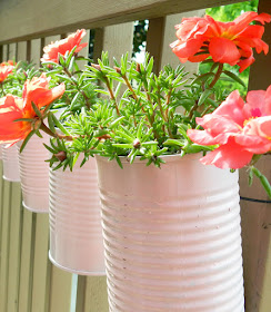 Create cute mini planters this spring with recycled tin cans spray-painted a lovely shade of pink! 