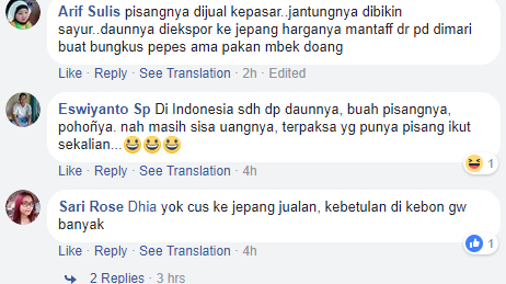 Waw...Ditempat ini Daun Pisang Dijual Online Seharga Rp. 273.000,00 Netizen Dibikin Heboh