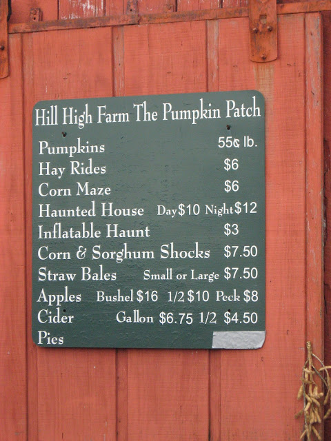 pumpkin picking at Hill High Farm in Winchester VA, Fall family fun in Northern Virginia,