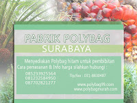 Budidaya Tanaman di Lahan Sempit dengan Polybag