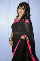 Isha Ranganath Glam Stills In Saree TollywoodBlog.com