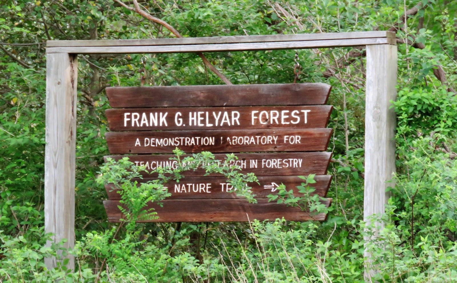 Gone Hikin Rutgers Gardens And Frank Helyar Woods Nj