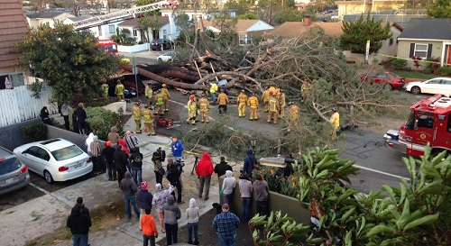 Storm damage in Southern California