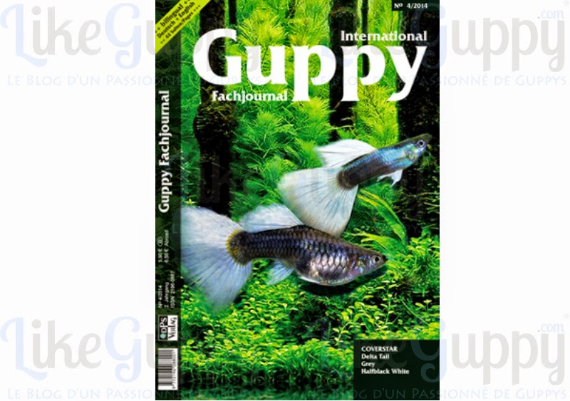 International Guppy Fachjournal N°4-2014 International-Guppy-Fachjournal-N-4-2014