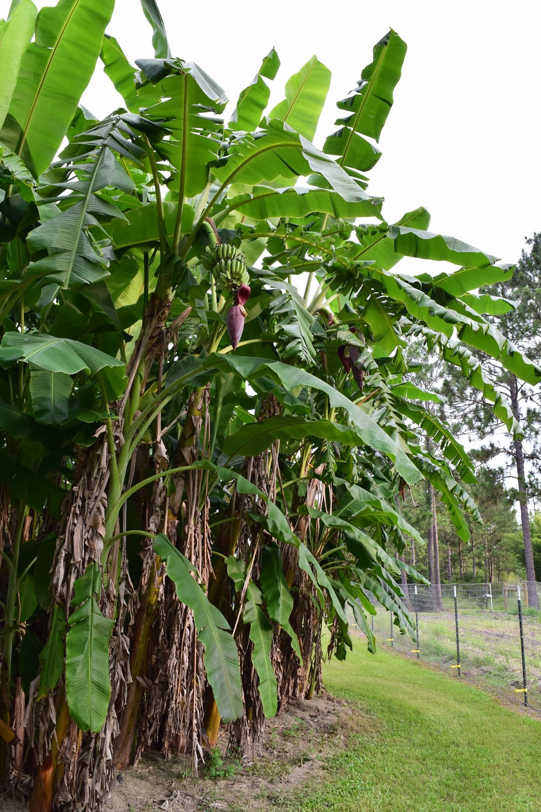 Unforeseen River&hellip; a public service (view full web) Ice