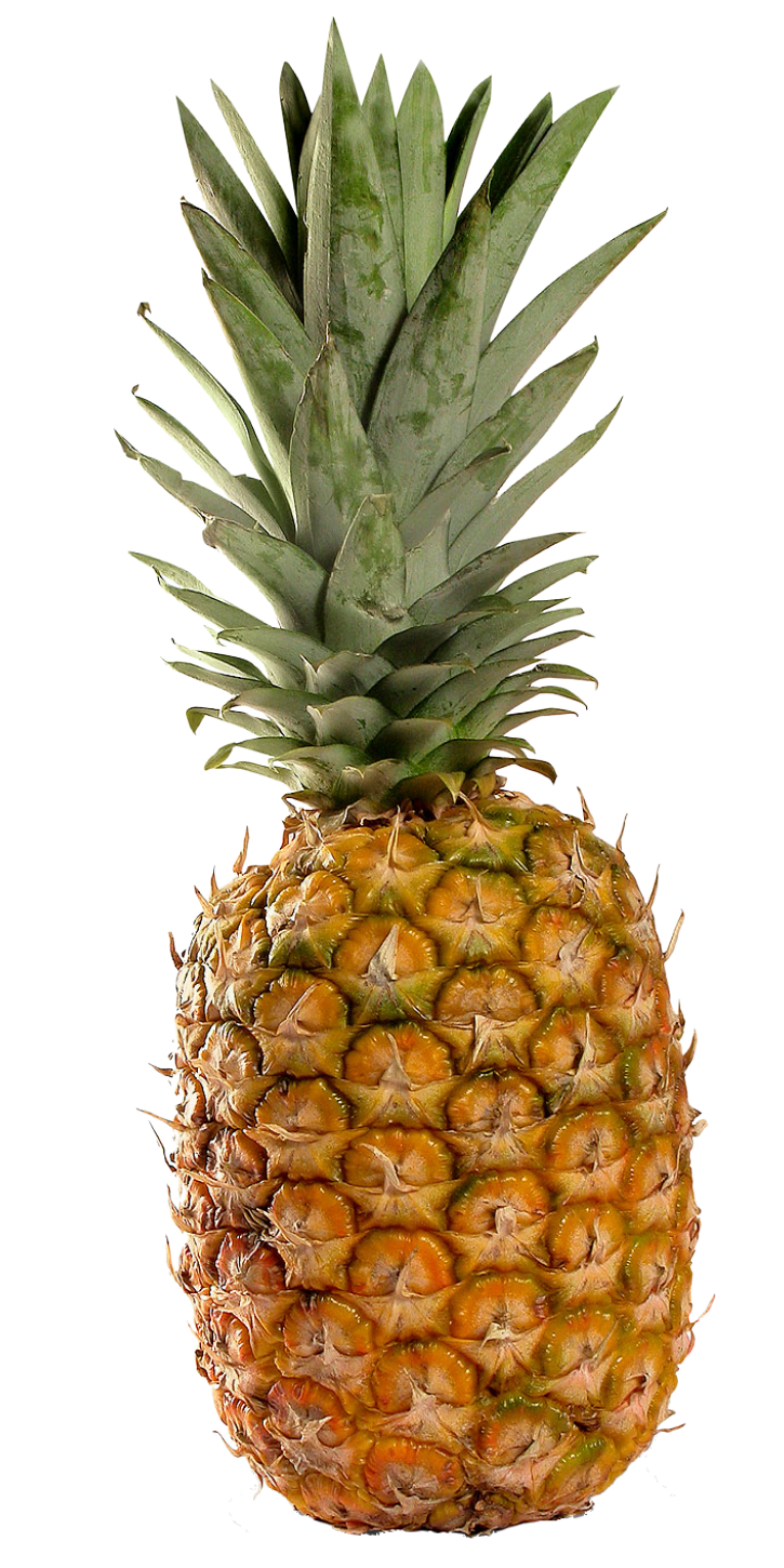 Comment On Dit Ananas En Anglais Les Cliparts de Clo: Ananas