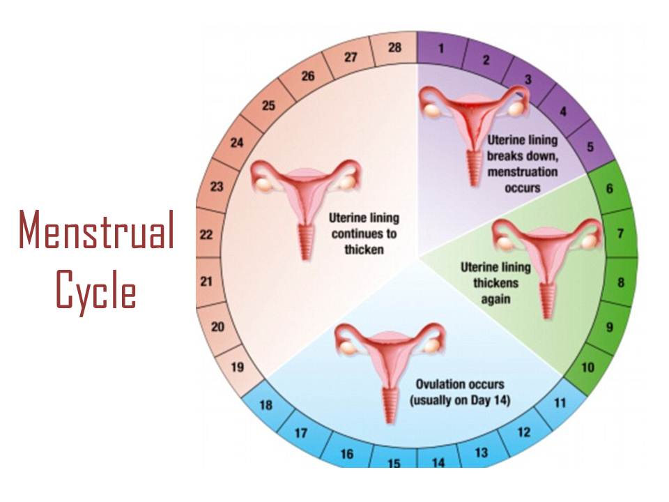 My Fertility Manual - Fertility Forums | Infertility Blogs: A Guide on ...