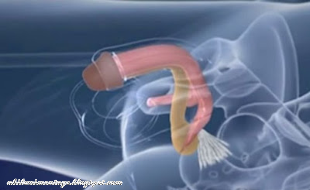 Penis Inside Vagina 87