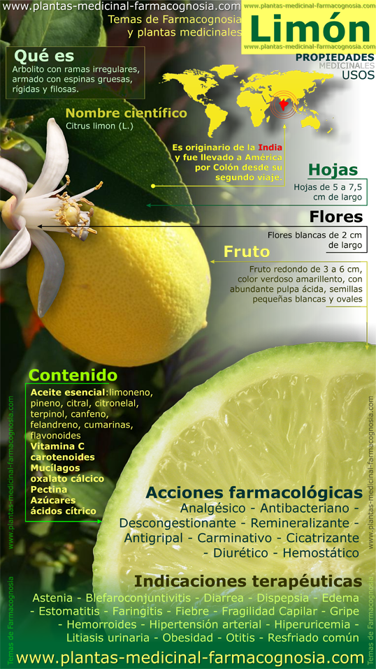 Temas de Farmacognosia Propiedades del limón. Infografía resumen