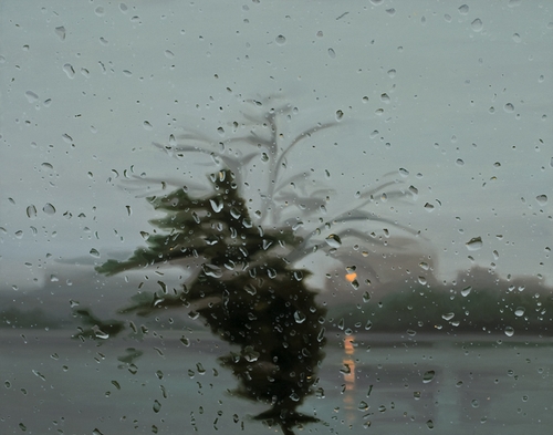 07-Looking-Glass-Gregory-Thielker-Oil-Paintings-In-The-Rain-Photo-realistic