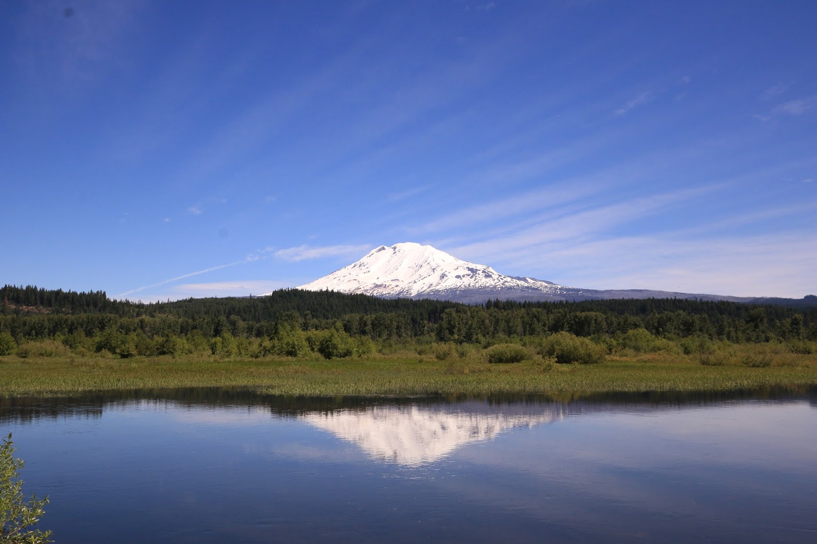 Delights of the Heart Walk with Me Trout Lake, Washington