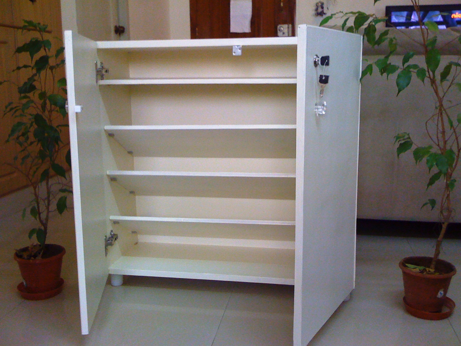 Hobby Woodworking in India Shoe rack Plywood painted