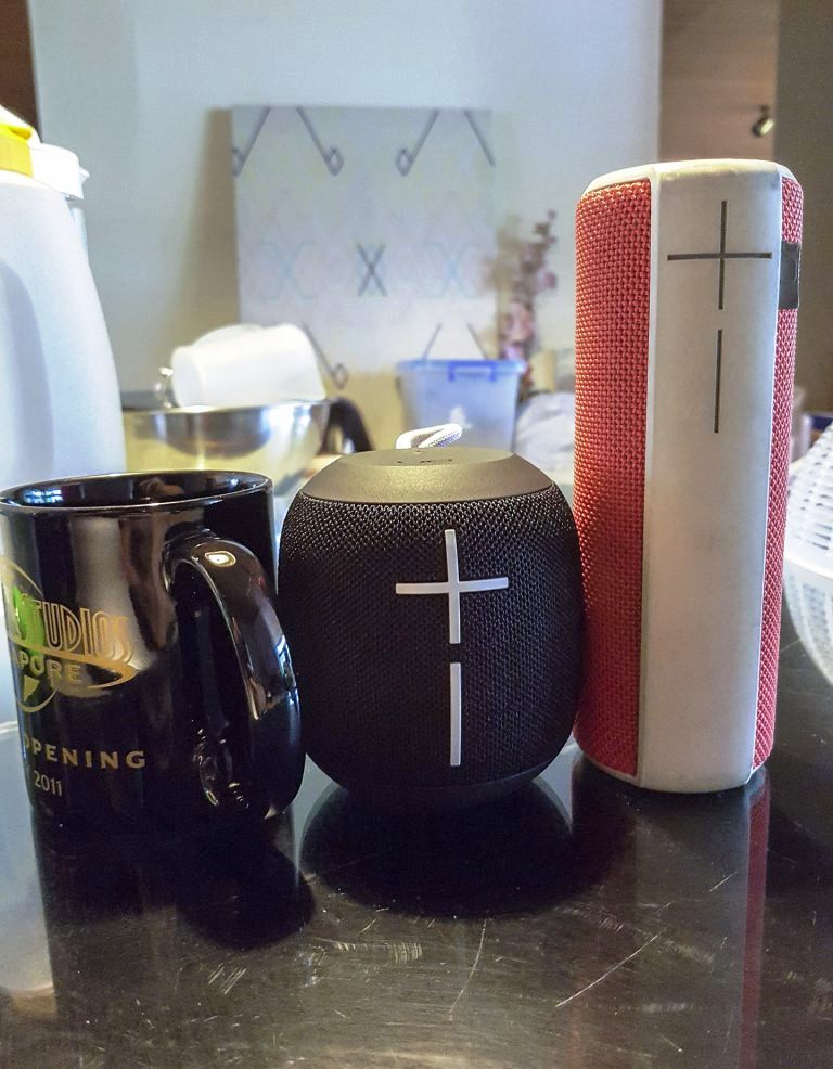 ue wonderboom flipkart