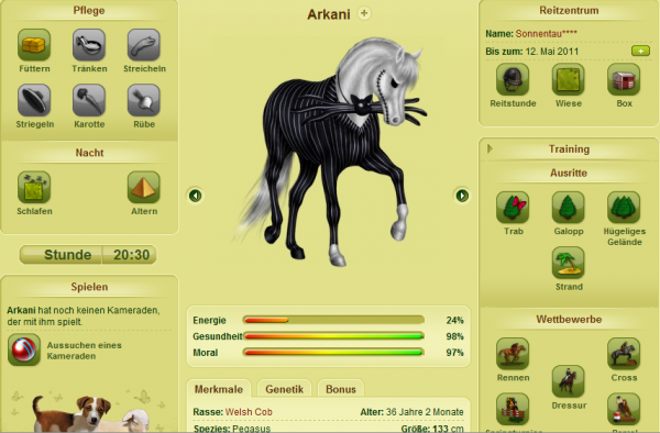 Howrse Memory Game Cheats Howrse Memory Game Cheats