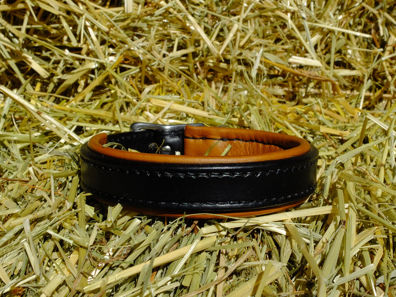 Nobleza Collare Con Borchie Cane Taglia L | A Tutta Zampa - Foto 10