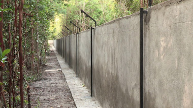 Main enclosure's back wall