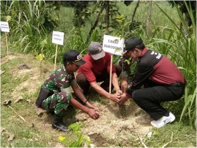 BAKTI SOSIAL PEMBAGIAN  SEMBAKO DAN PENGHIJAUAN KEC SUKODONO