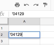 google sheets basics of data entry google sheets leading zeros