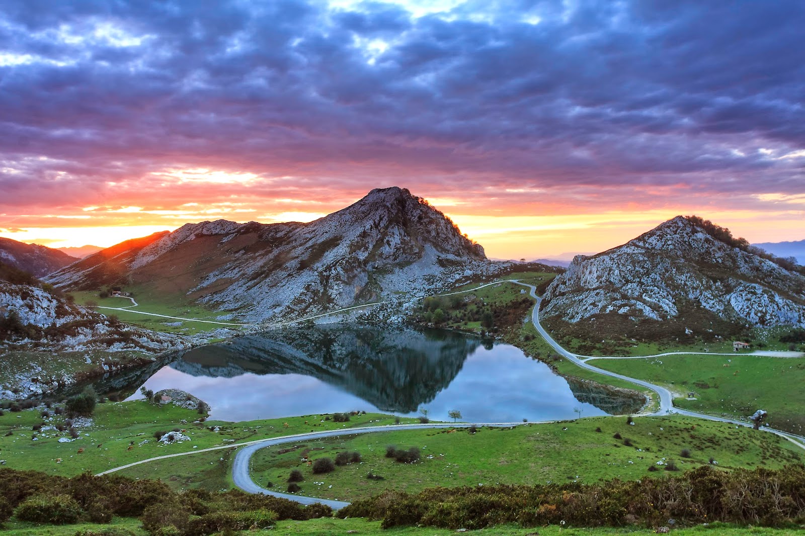YUYUBARAGAÑO .FOTOGRAFÍA DE NATURALEZA. Parque nacional de la Montaña
