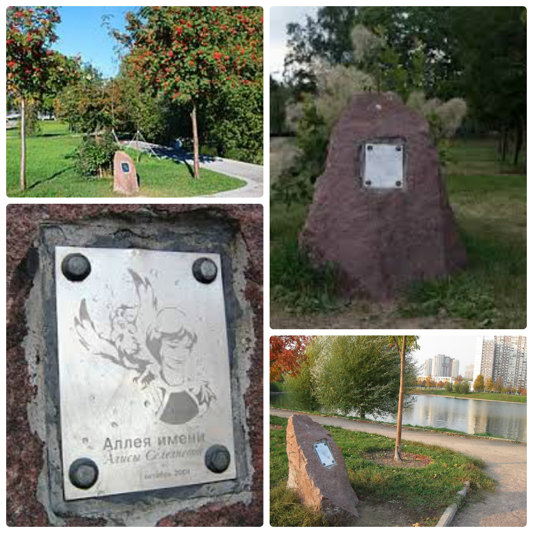 Существительное которые употребляются только во множественном числе. Аллея алисы селезневой в москве. 10 разносклоняемых существительных на мя. Разносклоняемые существиетльны. Аллея имя существительное.