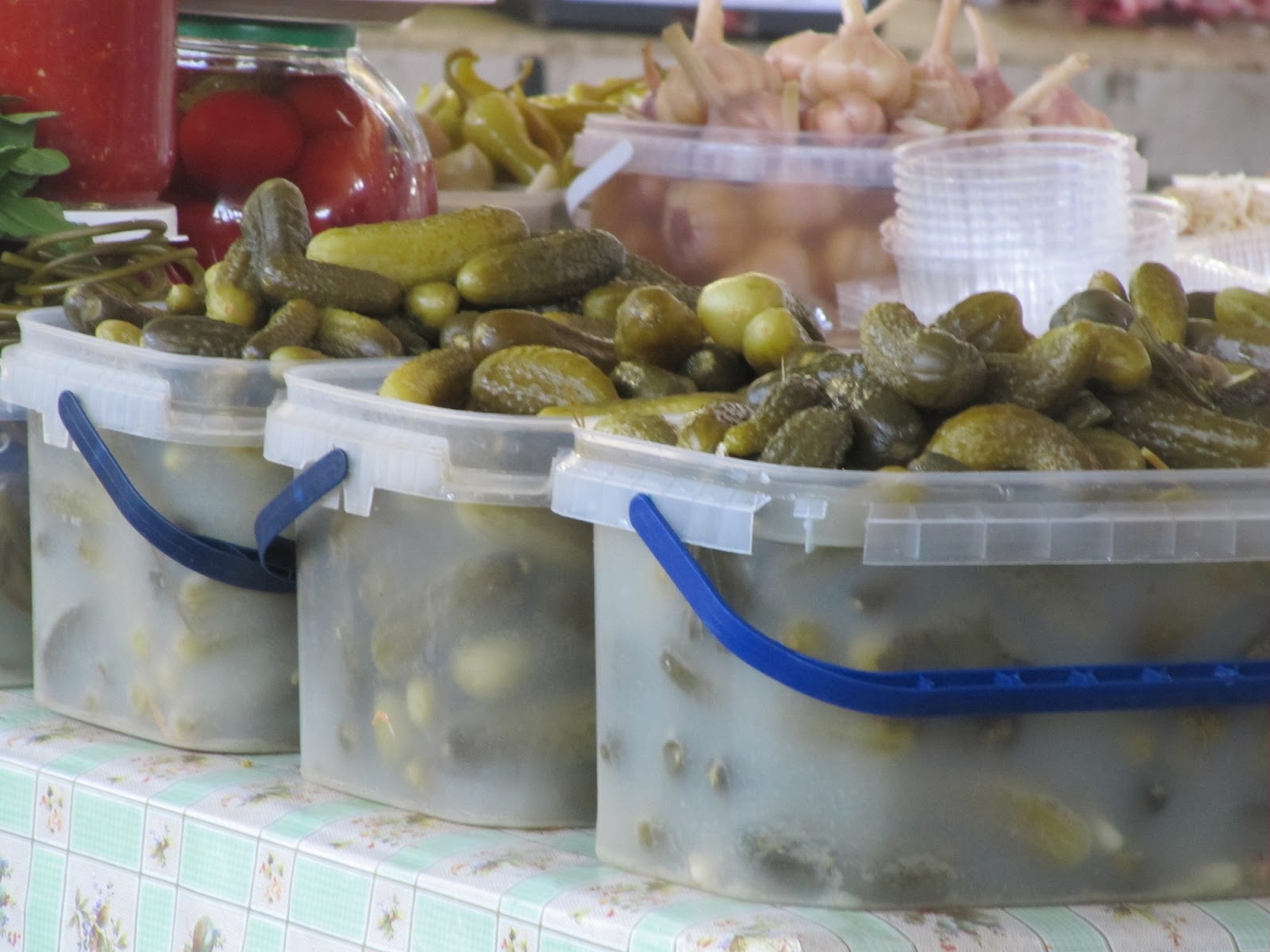 The Pickle Project It's International Pickle Week!