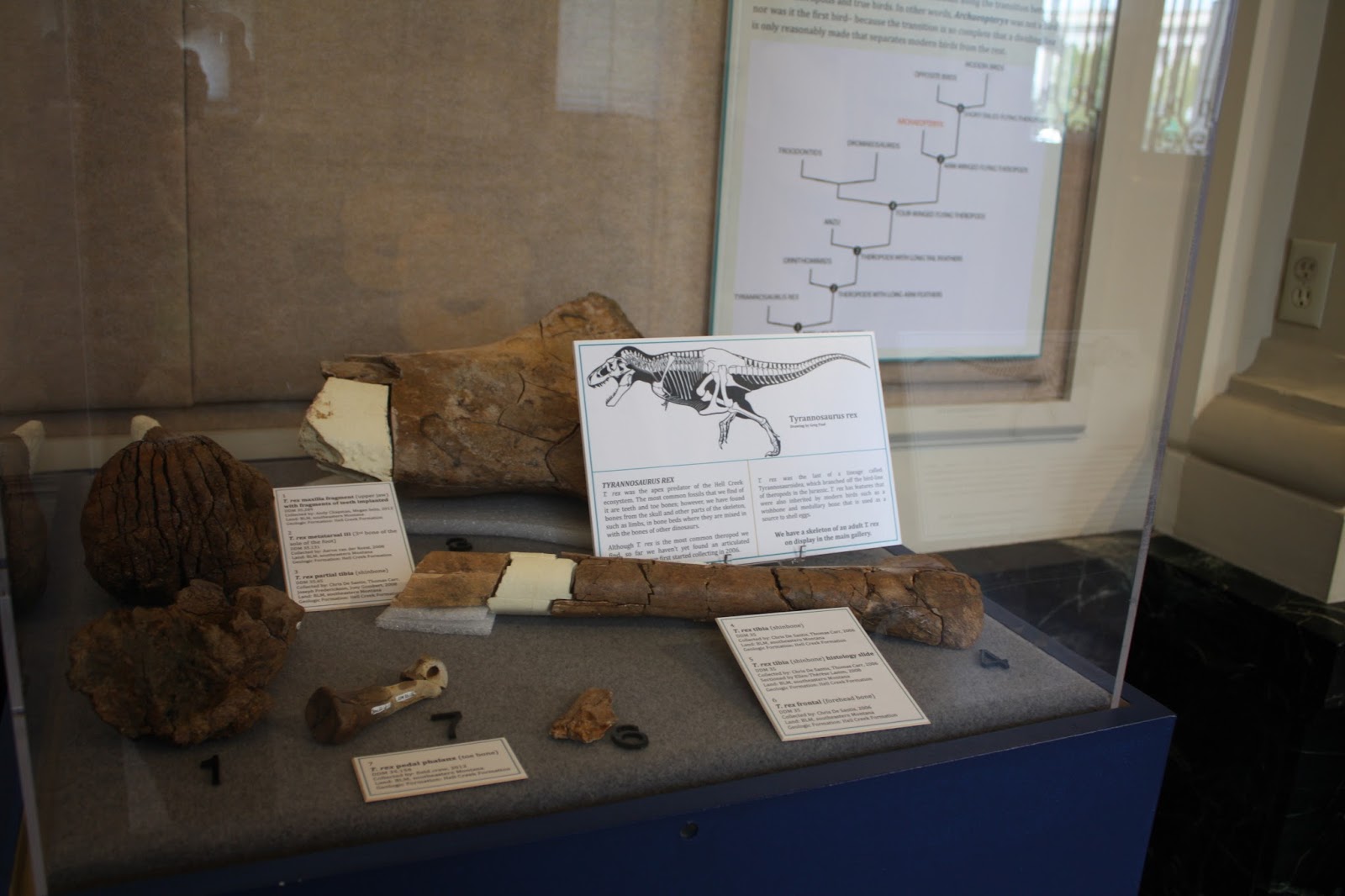 A Little Time and a Keyboard Dinosaur Discovery Museum in Kenosha