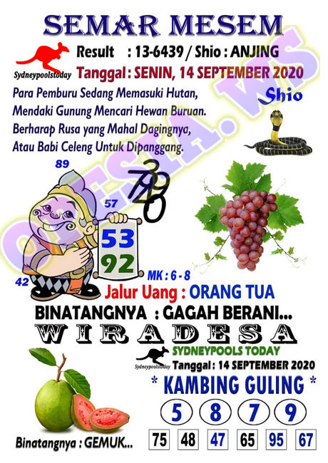 1 New Message Kode Syair Sydney 14 September 2020 Forum Syair Togel Hongkong Singapura Sydney