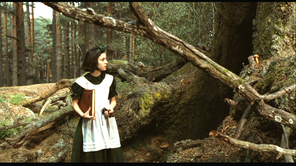 1000+ images about Pan's Labyrinth on Pinterest | Posts, Maze and Last ...