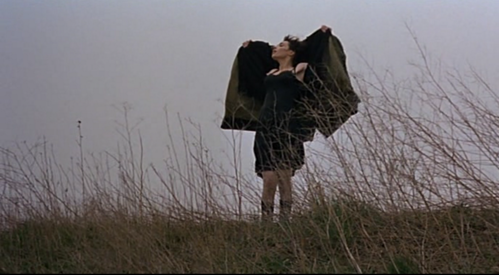 LYLYBYE MOVIE TROUBLE EVERY DAY CLAIRE DENIS 2001