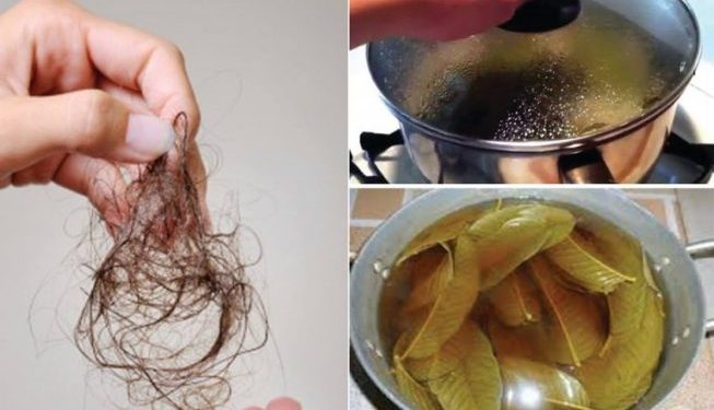 Here's How To Finally Stop Hair Loss. Make Them Grow Faster And More Beautiful