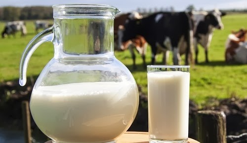 A szomorú igazság a tejről – amit minden szülőnek tudni kell