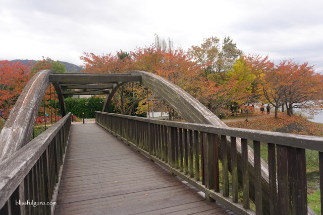 Mount Fuji Tour Autumn Blog