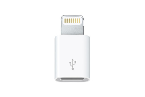 Lightning Port 示意圖,數位時代翻攝自 Apple 官網。 Lightning Port 示意圖,數位時代翻攝自 Apple 官網。