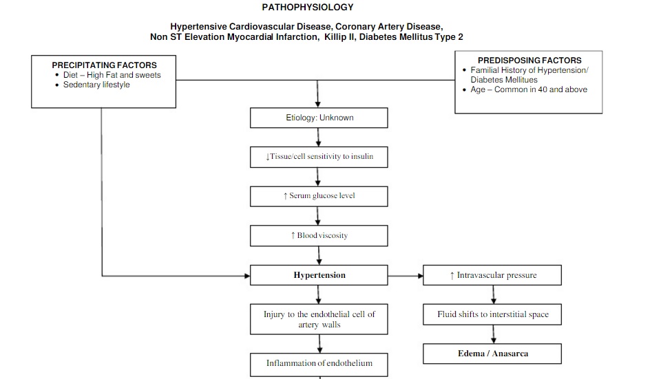 Pathoshoppe Pathophysiology Hypertensive Cardiovascular Disease pathoshoppe-pathophysiology-hypertensive-cardiovascular-disease