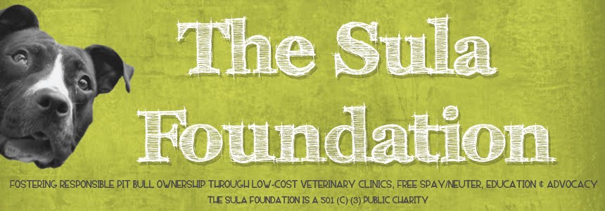 The Sula Foundation