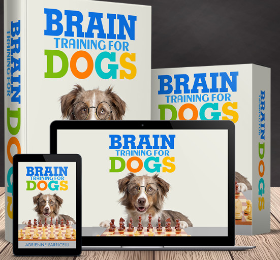 brain training for dogs adrienne farricelli, brain train for dogs by adrienne farricelli