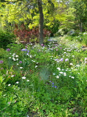 James Gardens Etobicoke spring 2015 by garden muses-not another Toronto gardening blog