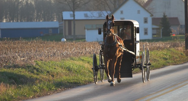 chester-county-pennsylvania-dutch-country-pennsylvania-usa_main.jpg (648×350)