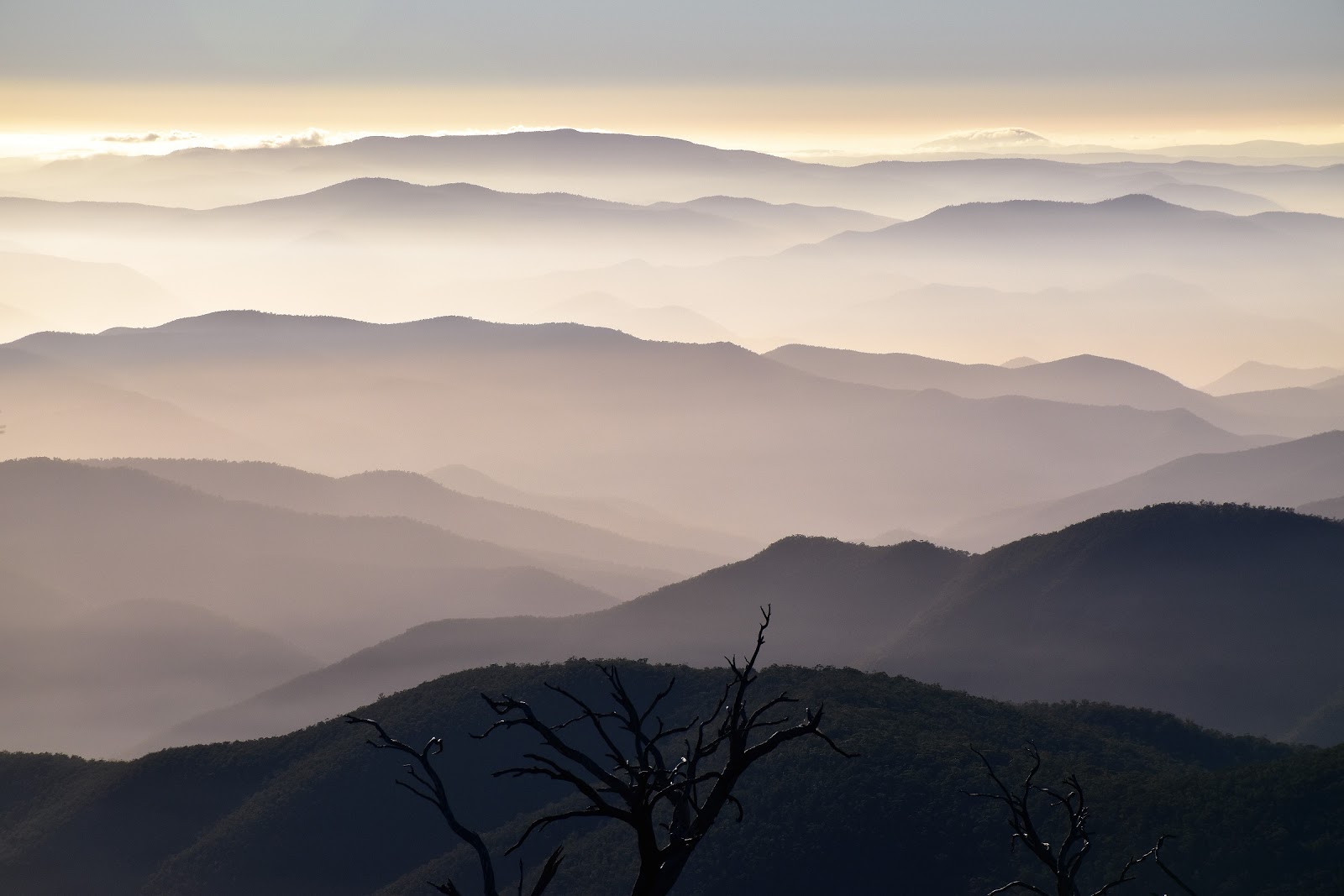 Goin' Feral One Day At A Time Mt Cobberas No. 1 to Cowombat Carpark